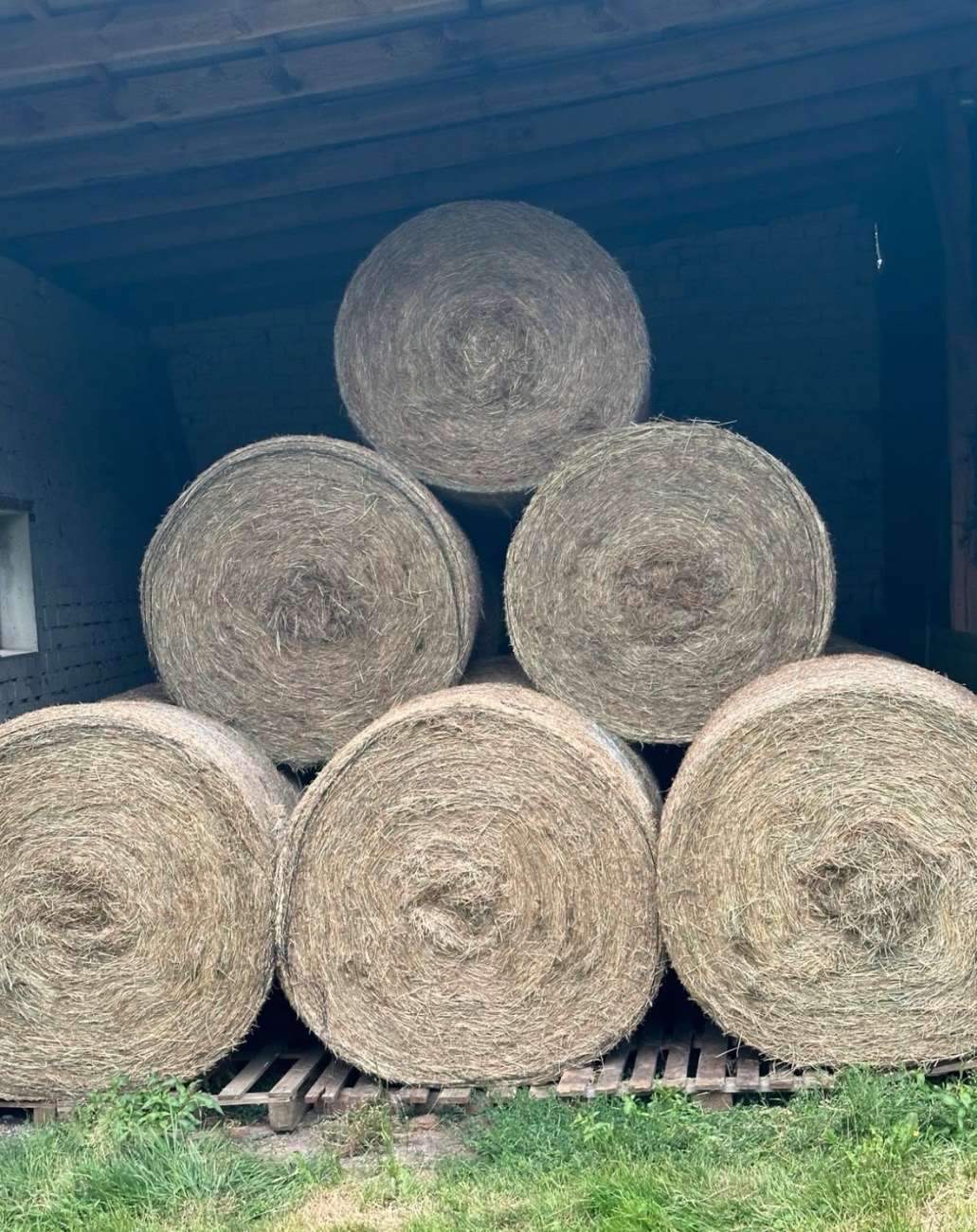 ...
