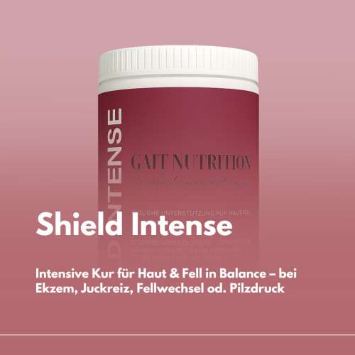 Shield Intense