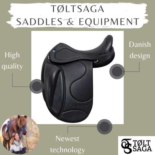 Tøltsaga saddle overview