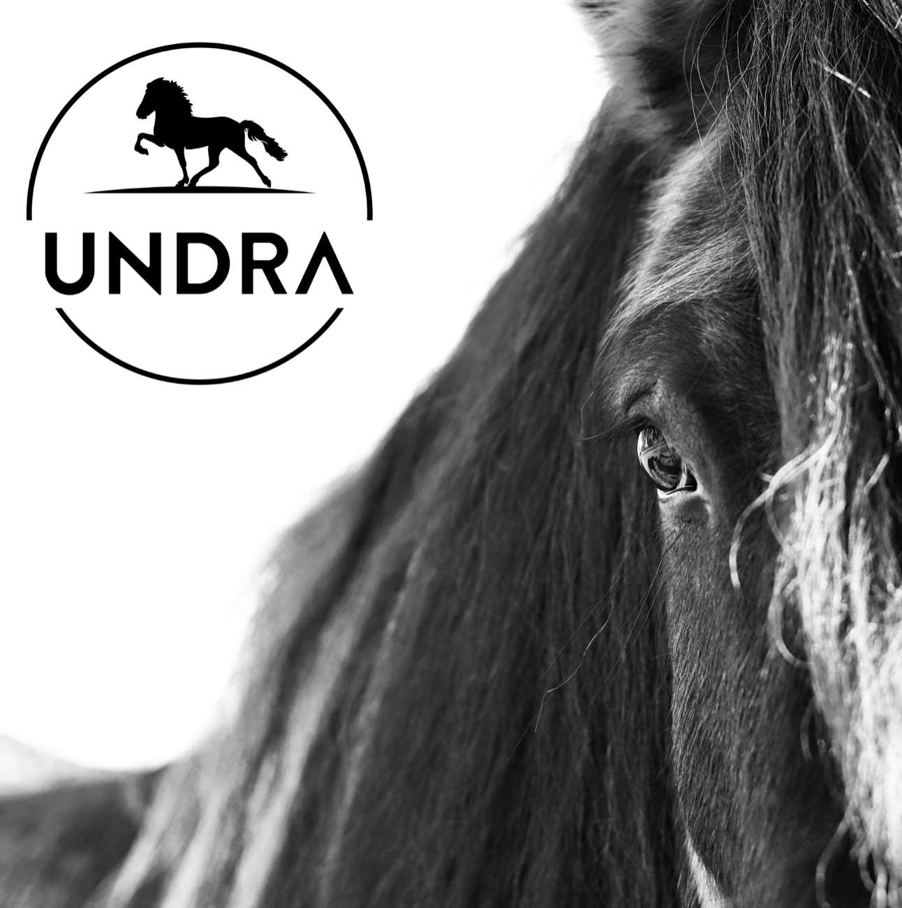 UNDRA