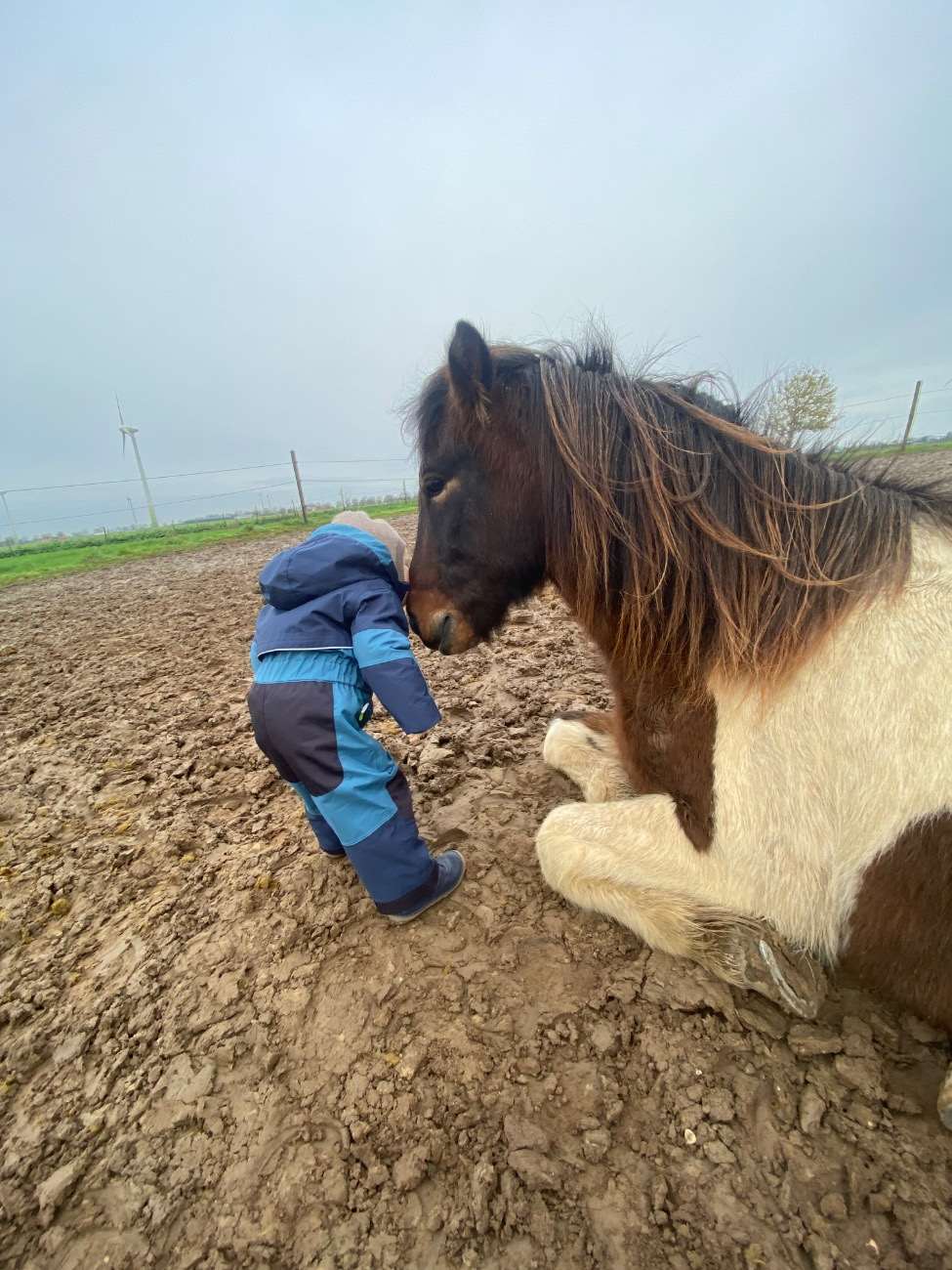 ...