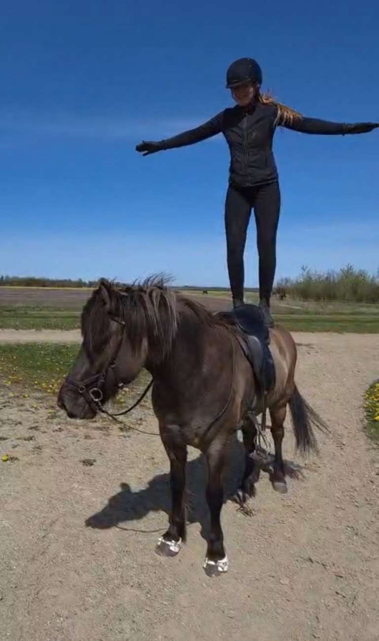...
