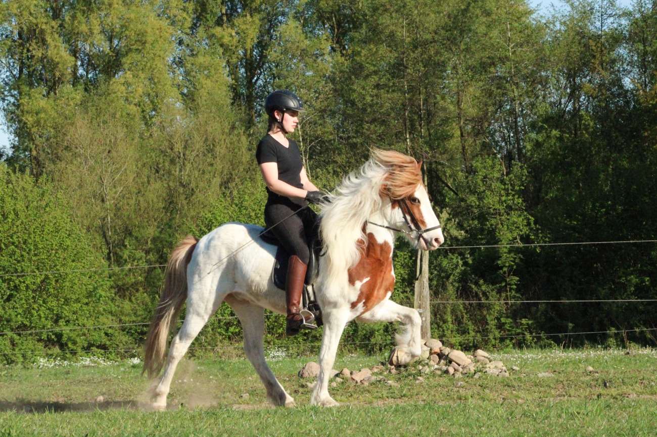 ...