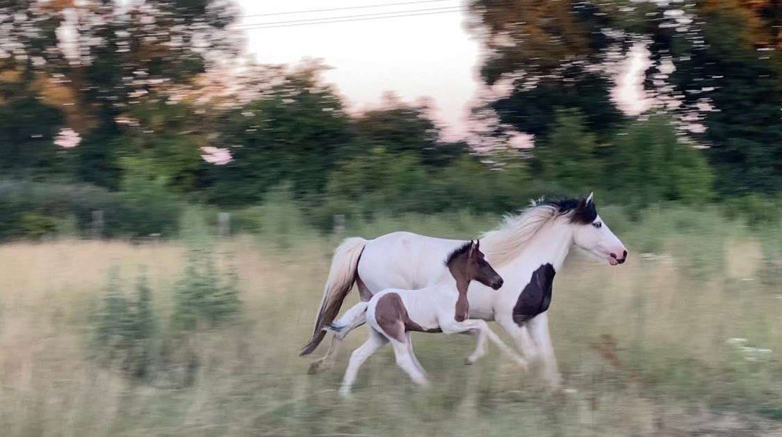 ...