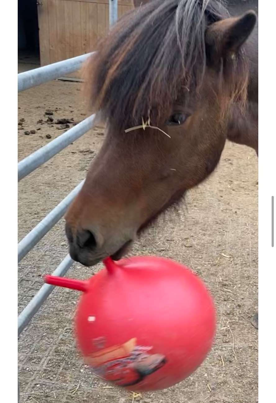 ...