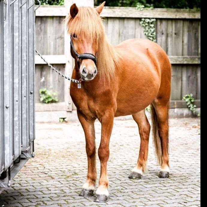 ...