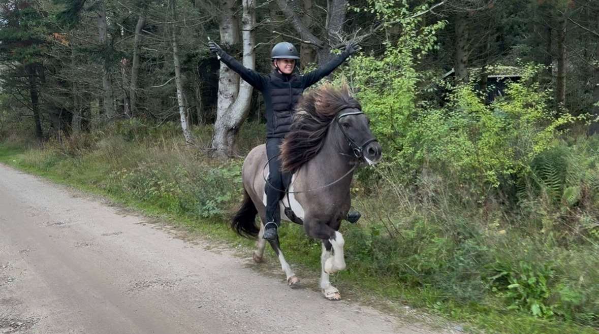 ...