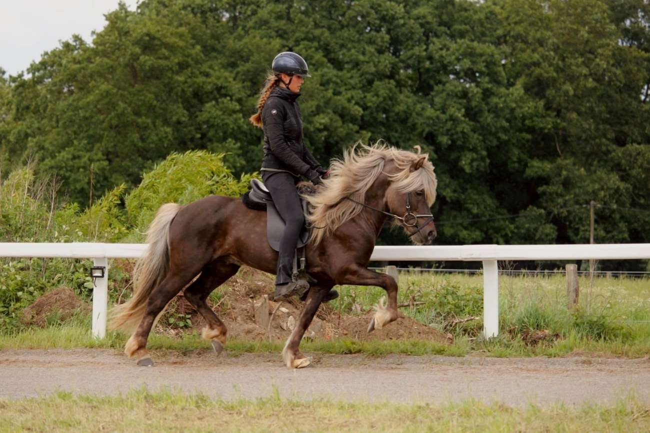 ...