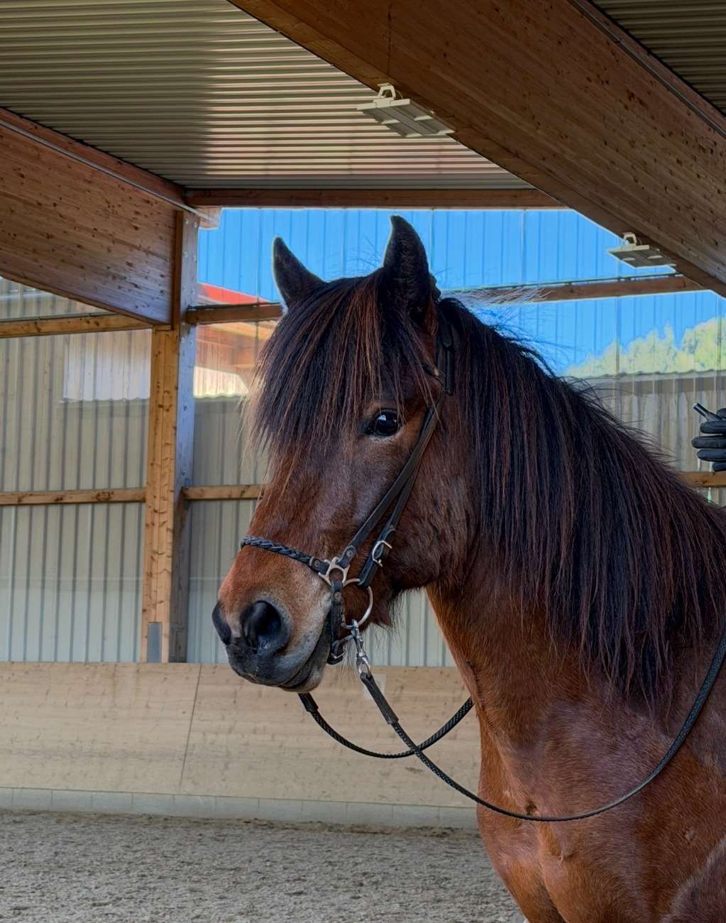 ...
