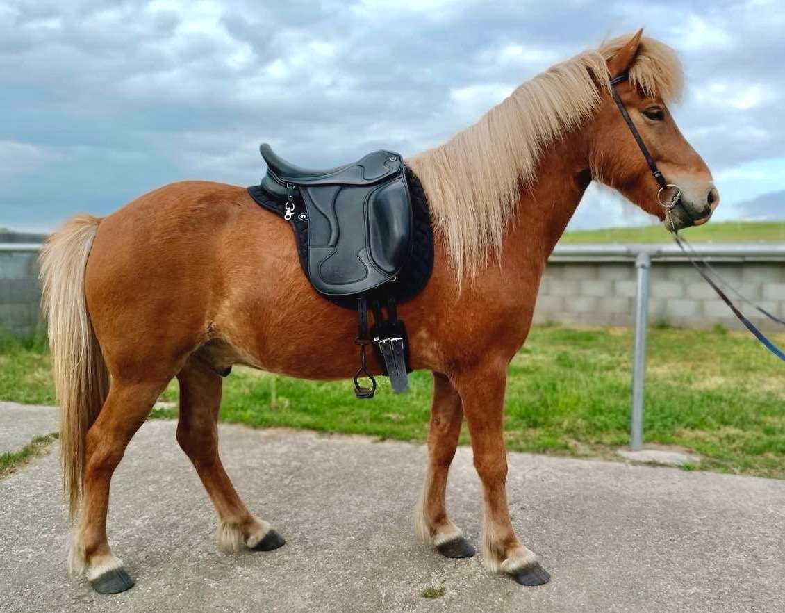 ...