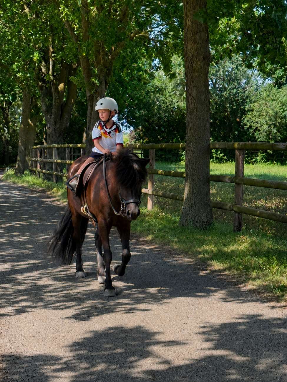 ...